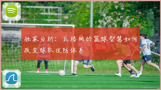 独家分析：瓦格纳的篮球智慧如何改变球队攻防体系