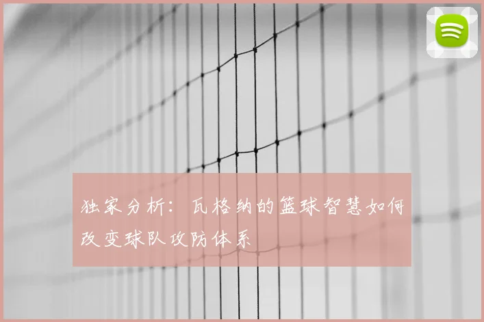 独家分析：瓦格纳的篮球智慧如何改变球队攻防体系